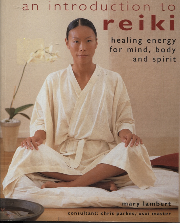 Image for AN INTRODUCTION TO REIKI : HEALING ENERGY FOR MIND, BODY AND SPIRIT